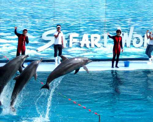 北京古玩拍卖公司有哪些_更多的人开始关注艺术品收藏