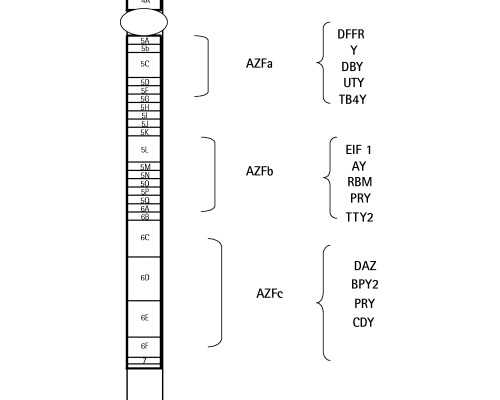 成都古玩古董免费鉴定_1930年代吴湖帆的画为什么被“末脚请进门，头脚踢出门