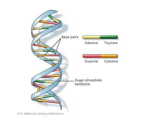 香港验血会验不出结果吗_以文明礼仪伴我行为题  写演讲稿文明礼仪伴我行演讲