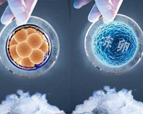 电视古玩行袁一山_书法创作应重视对本体的开掘