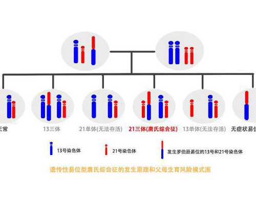 人流5个月后又怀孕了可以香港验血吗_如何预约香港医院验血，宝妈亲身经历告
