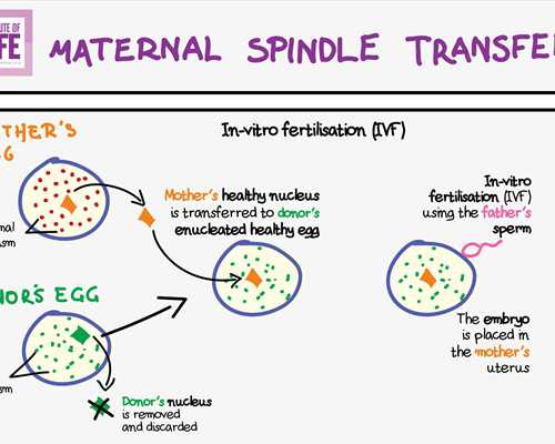 香港验血嘉宾大厦诊所_香港验血胎芽不到10mm准不准_测性别哪个诊所准