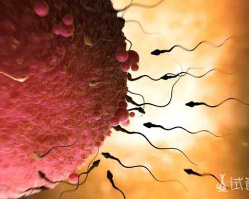 12周香港验血准确率高吗_香港dna验血查男女准吗?本人亲身经历告诉你