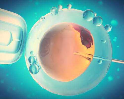 香港验血看男女条件_香港验血验男女要多久才可以验_验血查男女怎么选择