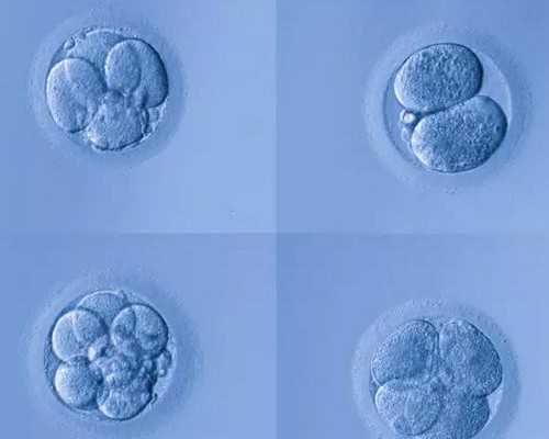 香港验血去什么医院_香港验血查男女衫,哪机构个最准