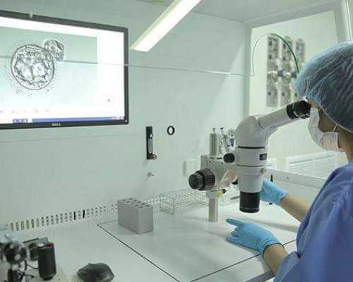 美国供卵试管婴儿攻略（去美国做试管经历）