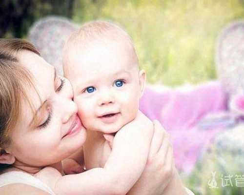 南京朝天宫古玩市场图片_彩金币戴胜鸟