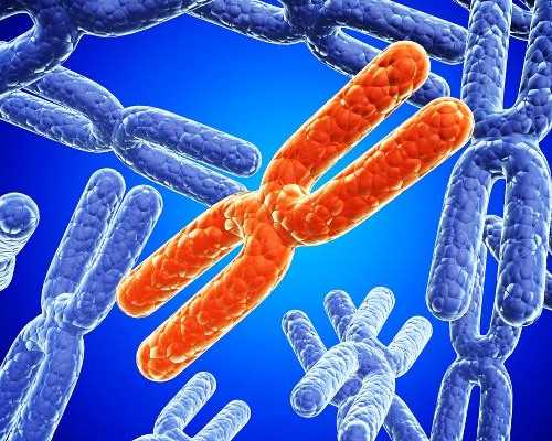 吃哪些水果能提高卵子质量-正规代孕的费用