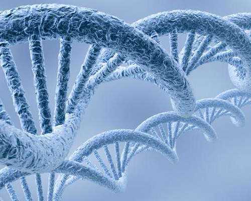 送到香港验血会寄原件回来么_香港验血报告有15个d_验血查男女的时间是多久