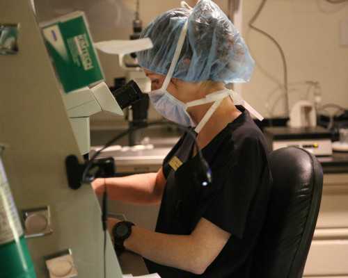 第一次促排卵的成功率