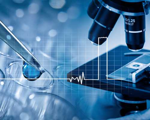 哈尔滨古玩城哪个最好_“叠代韵影——黄子久宣纸笔会”在富阳举行