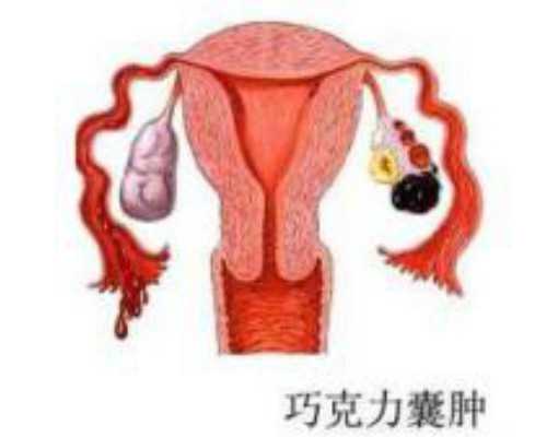 孕六周和七周香港验血_香港验血一个y也没有_刚测过的人来告诉你!