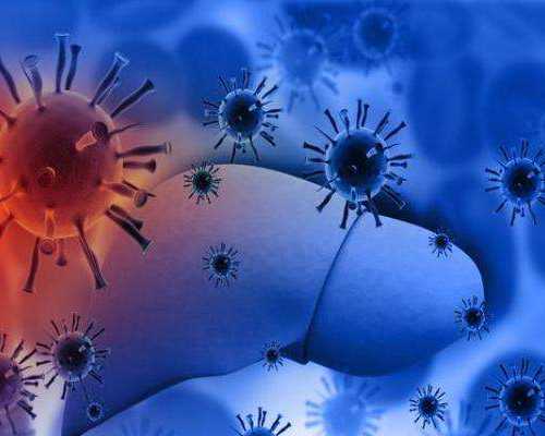 香港验血哪家机构正规_香港验血,说还要复检_查生男女准确率有多高靠不靠谱