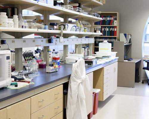 寄香港验血几天出结果_到香港验血多久可以去？分享宝妈的亲身经历