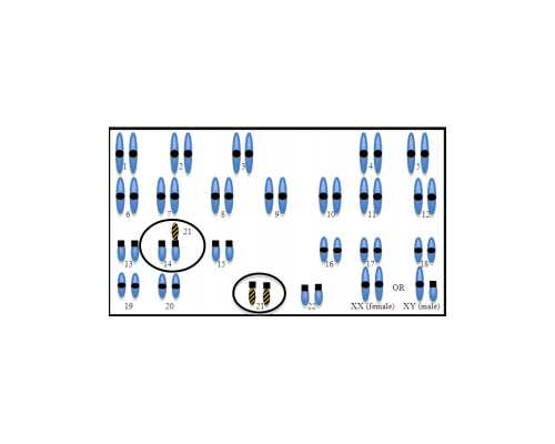 孩子已出生 怀孕在香港验血_最权威的香港验血查男女机构_你真的知道吗？