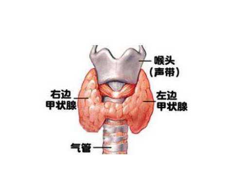 干细胞：干细胞治疗在月经期可以输注吗？