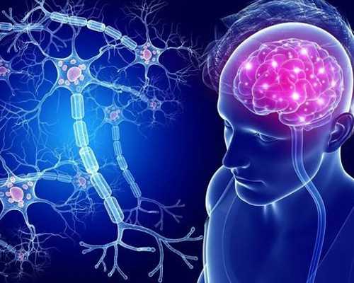 古玩市场的现状及前景_第二届全国钱币收藏博览会即将开幕