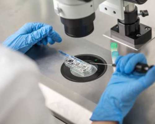 香港验血查男女的电话_香港验血查男女是骗局吗，真的准吗？亲身经历告诉你