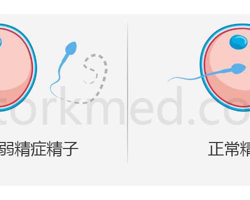 古玩大亨精校下载_红军不怕远征难：2015西泠春拍李可染长征
