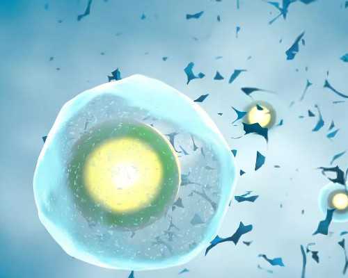 八个月又怀孕了香港验血影响吗_孕妇香港验血报告单怎么看,DNA查男女会翻盘吗