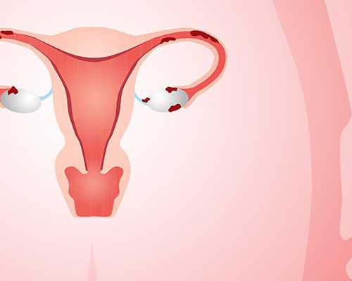 香港验血六周和七周_怎样去香港验血测性别,真实经历分享出来给大家