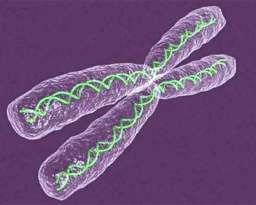 香港验血性别 要空腹吗_香港查dna验男女准吗,哪个验血机构最好