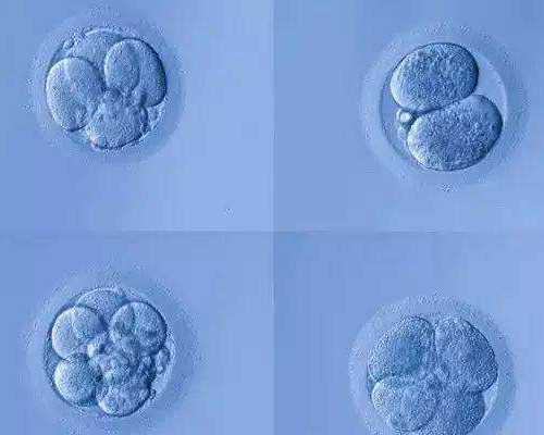 做三代试管婴儿会对孩子有影响吗-试管代生子