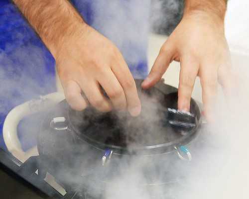 香港验血是女孩了有不准的吗_香港验血大概是几周_验血查男女是不是骗人的