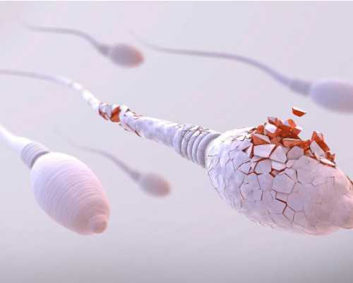 影响澳门试管婴儿费用的因素(澳门试管婴儿做一次多少钱)