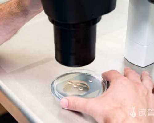 怀孕一个月能到香港验血验男女的吗_香港7周查性别多少钱_有去香港验血翻盘的