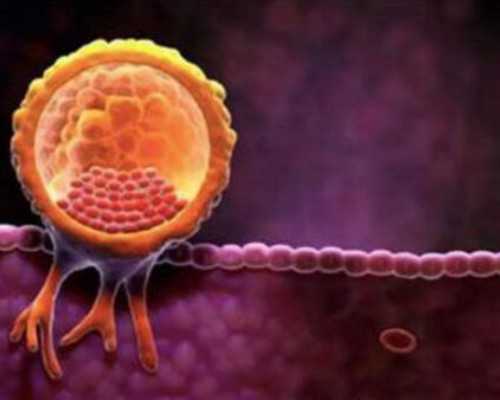 香港验血6周还没胚芽_香港验血得出结论原因_怎么个流程费用多少