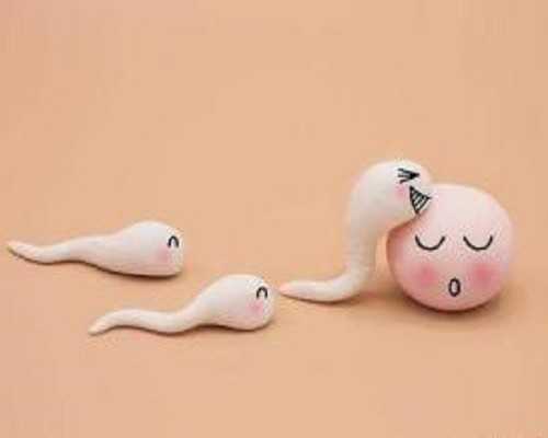 精子畸形率过高适合哪一代美国试管婴儿技术？-正规的代孕服务