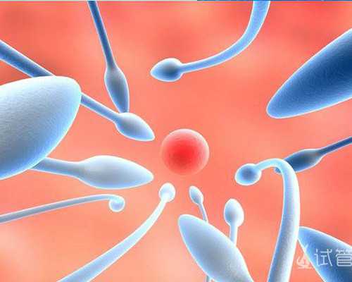 古董古玩鉴定出售_弘一大师的“字以人传”