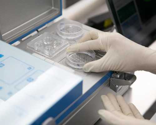 香港化验所验血女孩_到香港能鉴定胎儿性别,怎么个流程费用多少