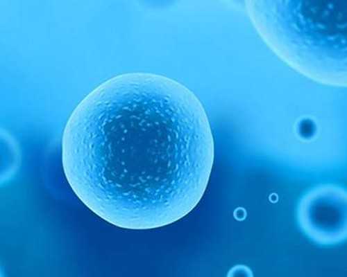 香港胎儿性别验血DNA浓度太低_香港美亚预约验血靠谱_性别鉴定费用是多少!