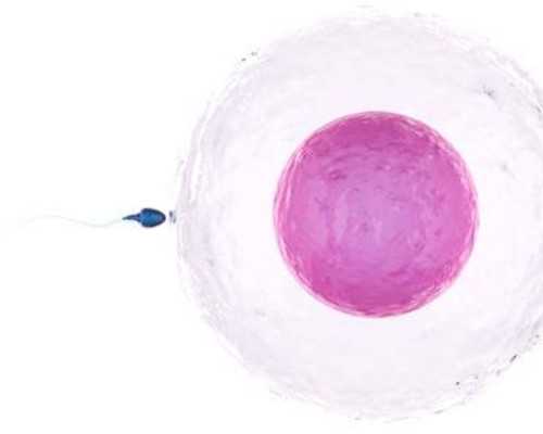 孕妇可以坐飞机吗？