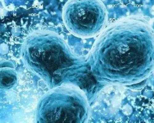 在香港做试管婴儿的步骤有哪些？