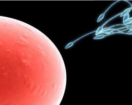 昨天在香港验血了 总结下_孕期去香港验血多少钱_我来告诉你真实内幕!