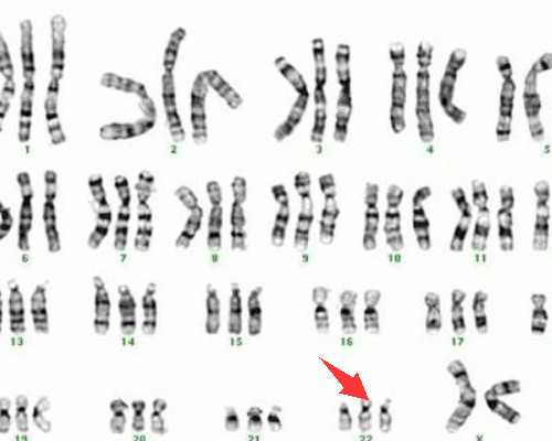 广东中山邮寄香港验血_以“我多想____”为题的作文 800字以上我多想什么作文