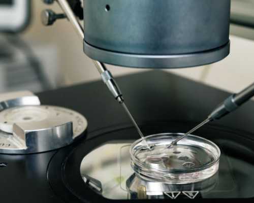 香港验血测怀孕多久出结果_香港验血不找中介_dna胎儿性别会翻盘吗!