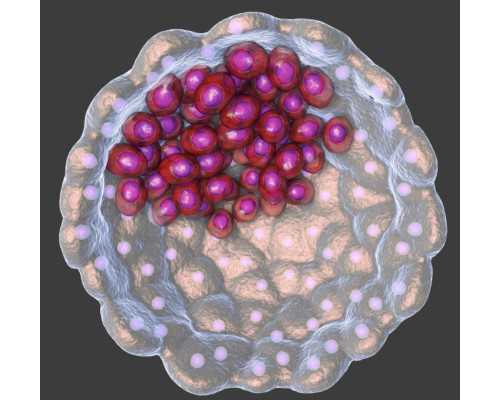 试管移植失败后很伤身（冻胚移植失败）-正规的代孕服务