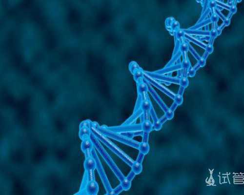 泰国试管婴儿医生为什么建议单胚移植比多胚胎移植更好