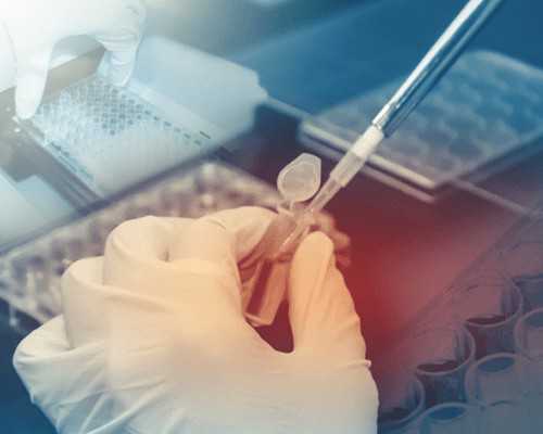 古玩行的套路电视剧下载_吸烟的样子之二