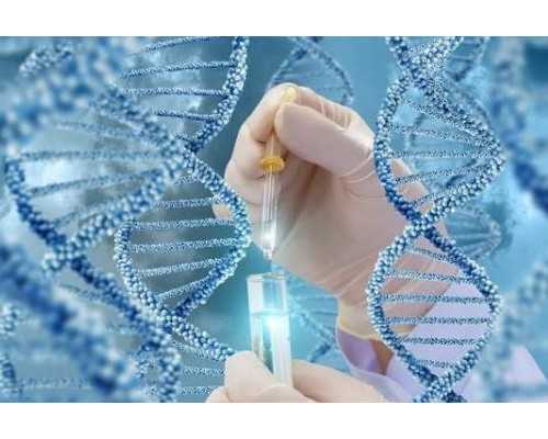 香港验血35天能查么_关于感恩老师的作文300字感恩老师作文1000字