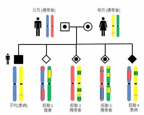 香港验血鉴定女孩准不_到香港验血怎样预约_验血查男女需要什么流程!