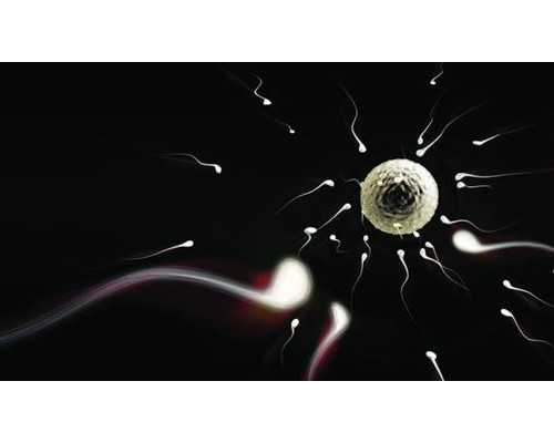 8周香港验血是女孩准吗_b超几周可以查男女,告诉你详细流程说明