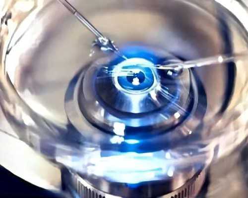 试管胚胎3级养囊成功率高吗-代孕试管三代费用