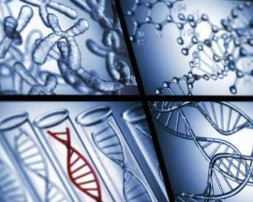 香港邮寄验血 准不准_香港验血中介可靠吗?讲述去香港验血查男女的真相!