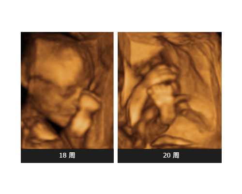 延边医院预约挂号电话号码