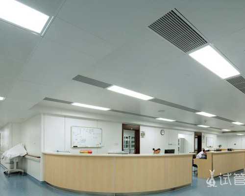 古玩出手市场_书法就是书法，不必称书法艺术